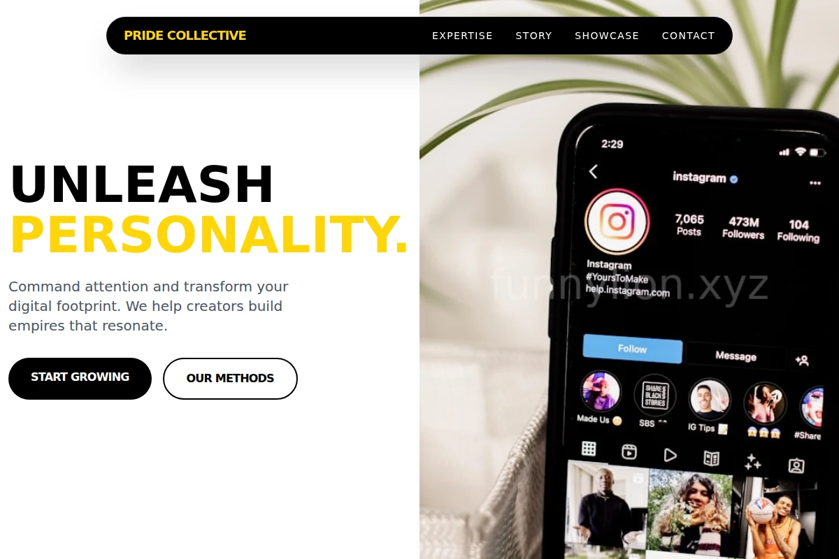 Primal Influencer Marketing