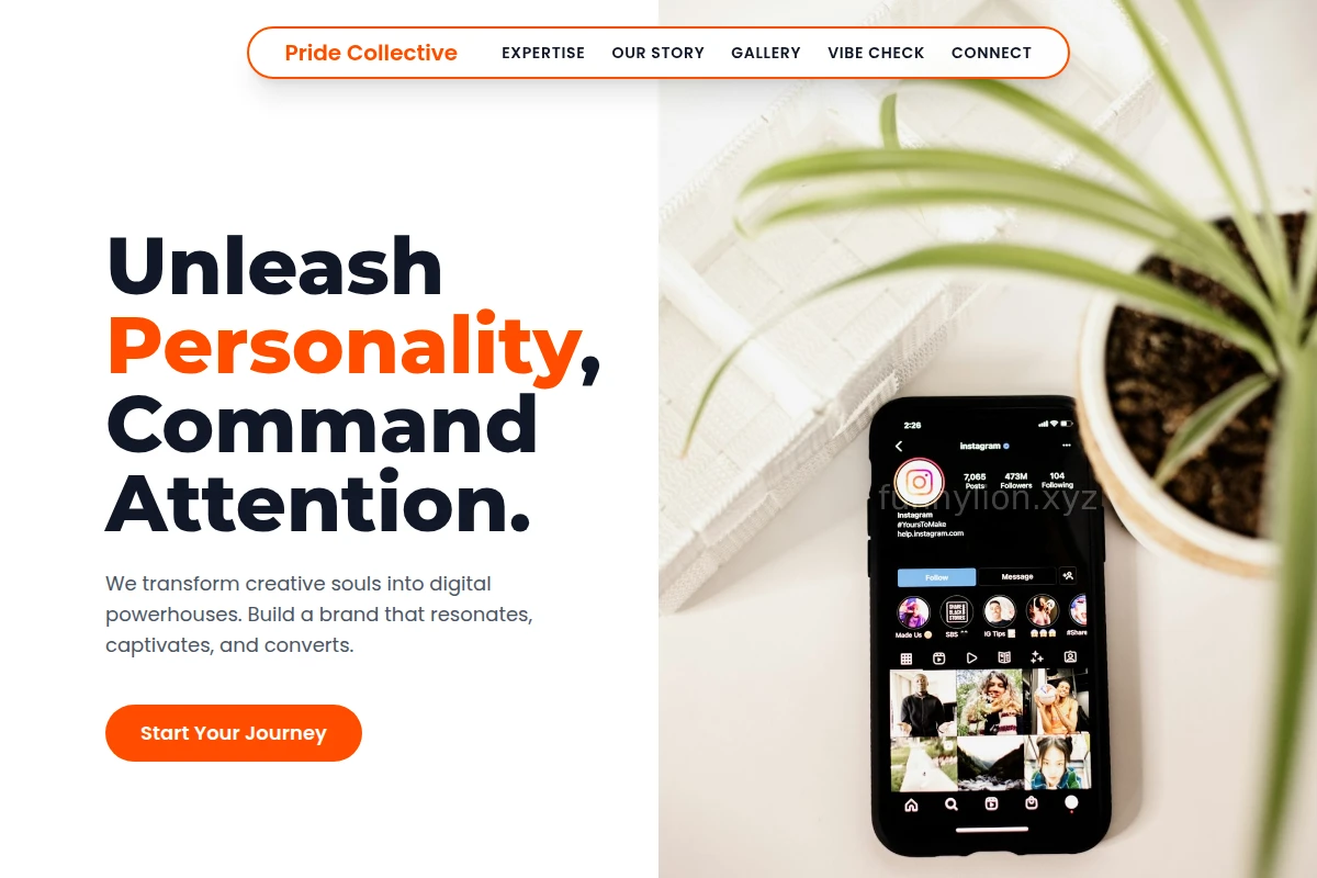 Playful Influencer Marketing
