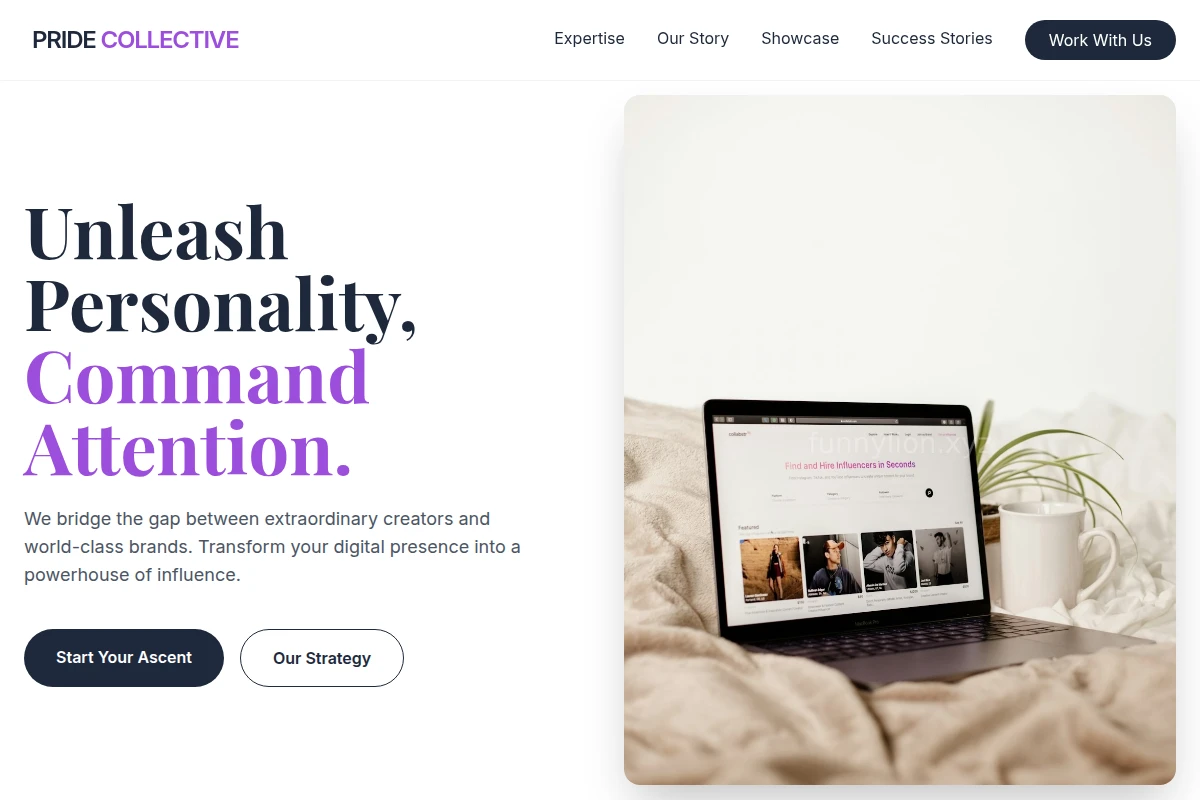 Pulse Influencer Marketing