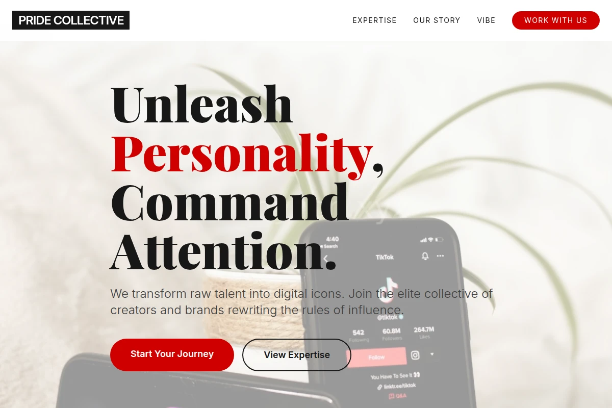Raw Influencer Marketing