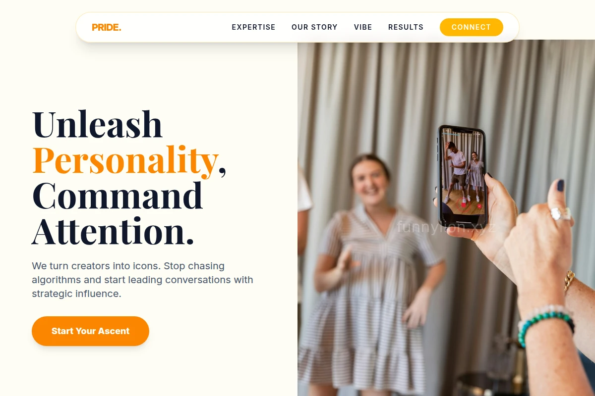 Brave Influencer Marketing