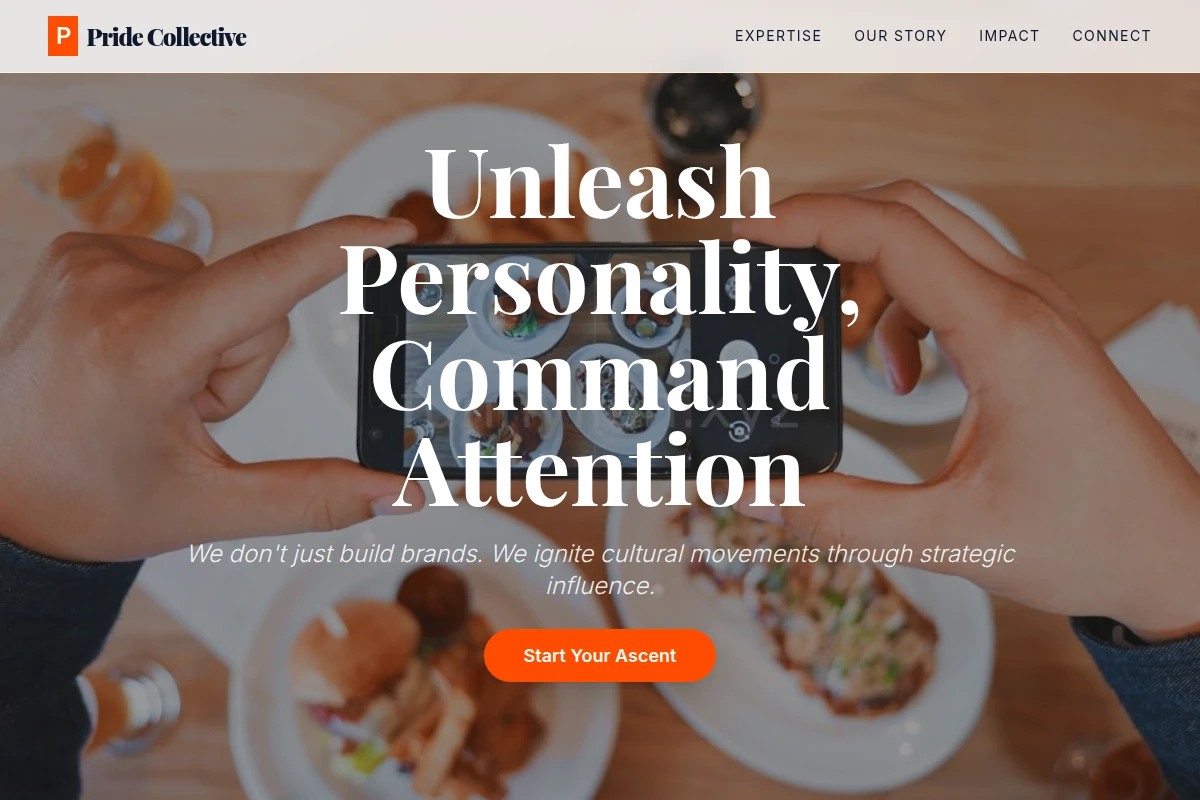Vivid Influencer Marketing