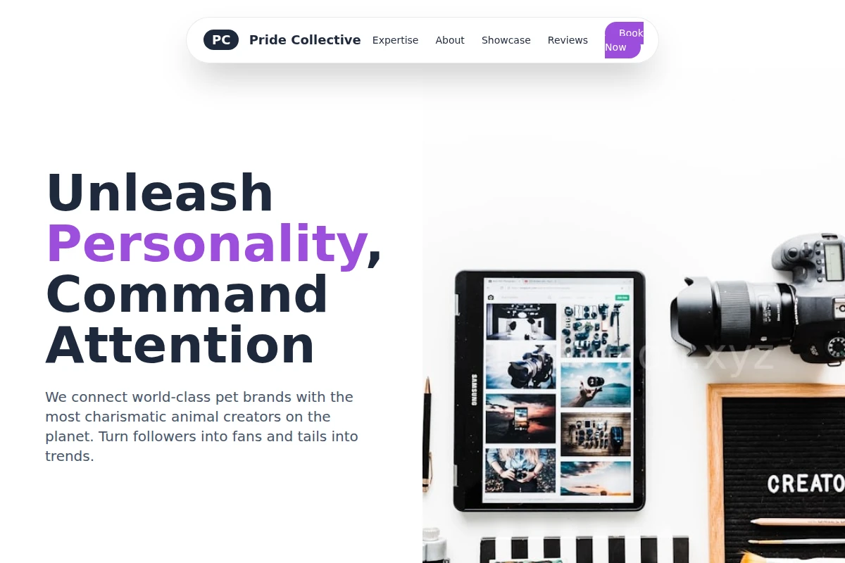 Paw Influencer Marketing