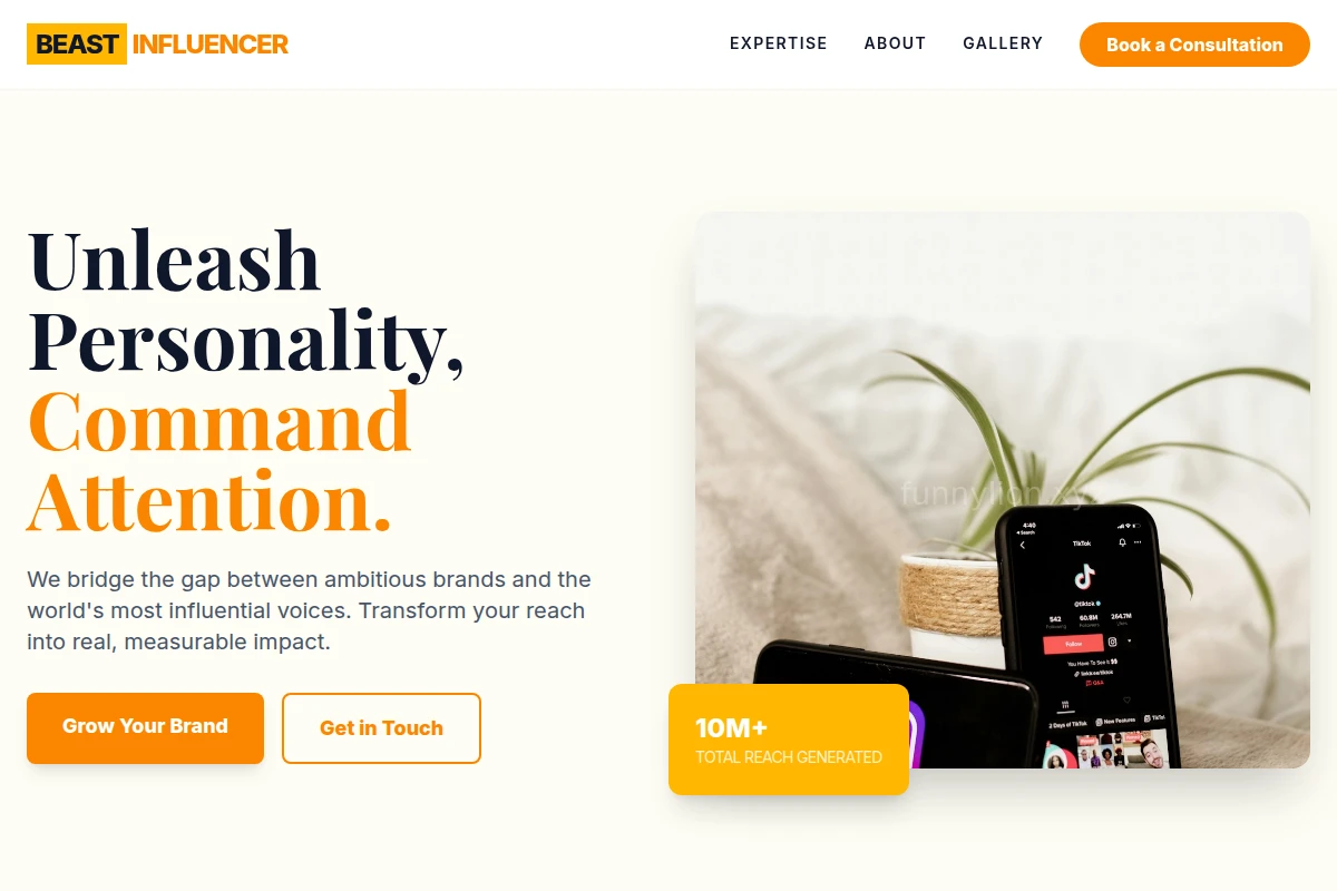 Beast Influencer Marketing