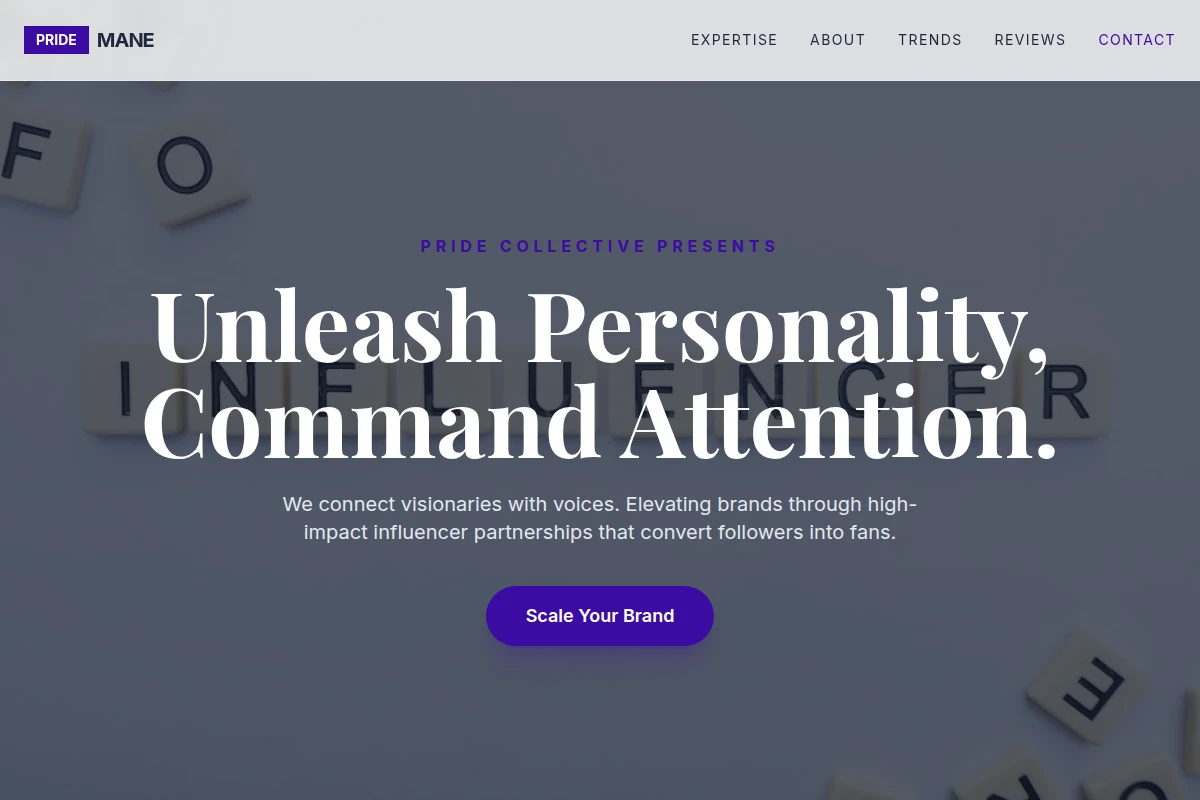 Mane Influencer Marketing
